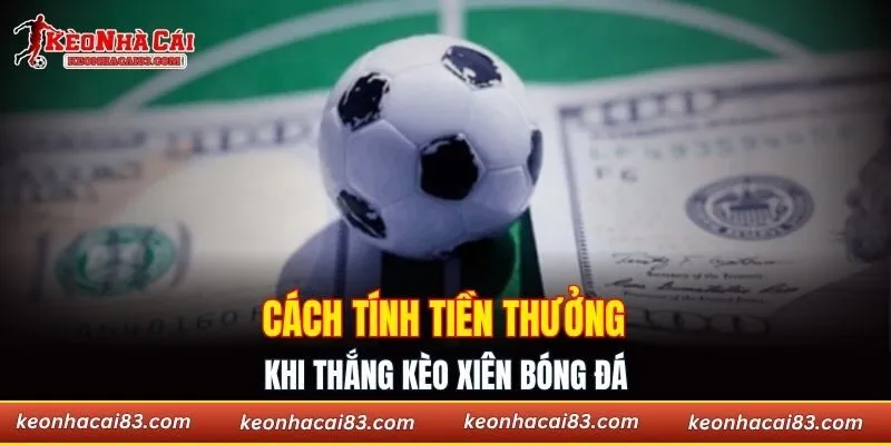 Cách tính tiền thưởng khi thắng kèo xiên bóng đá
